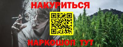 шишки Краснознаменск