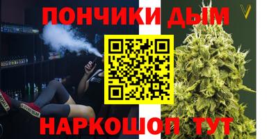 шишки Краснознаменск